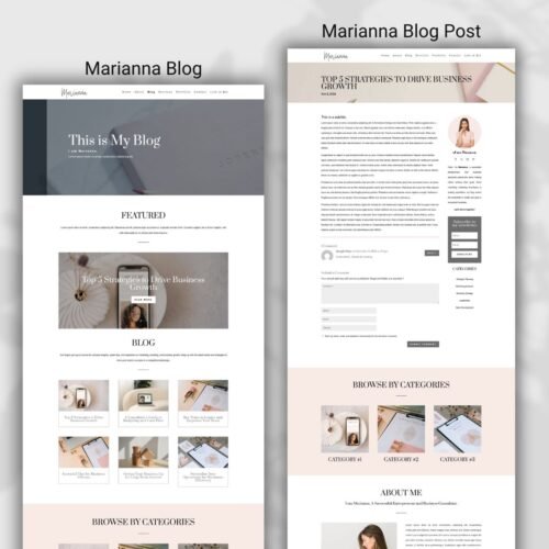 Divi Business Blog - Marianna Divi Child Theme Kit - Image 2